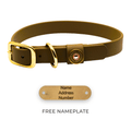 Barrows Dog Collar - OD Green